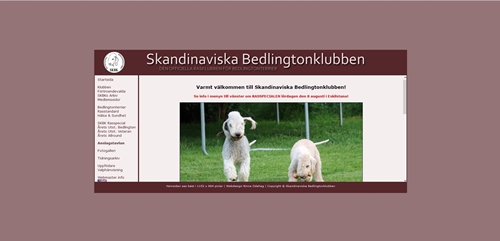 Swedish Bedlington Terrier Club (SE)